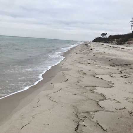 Zum Nordstrand Prerow Ngoại thất bức ảnh