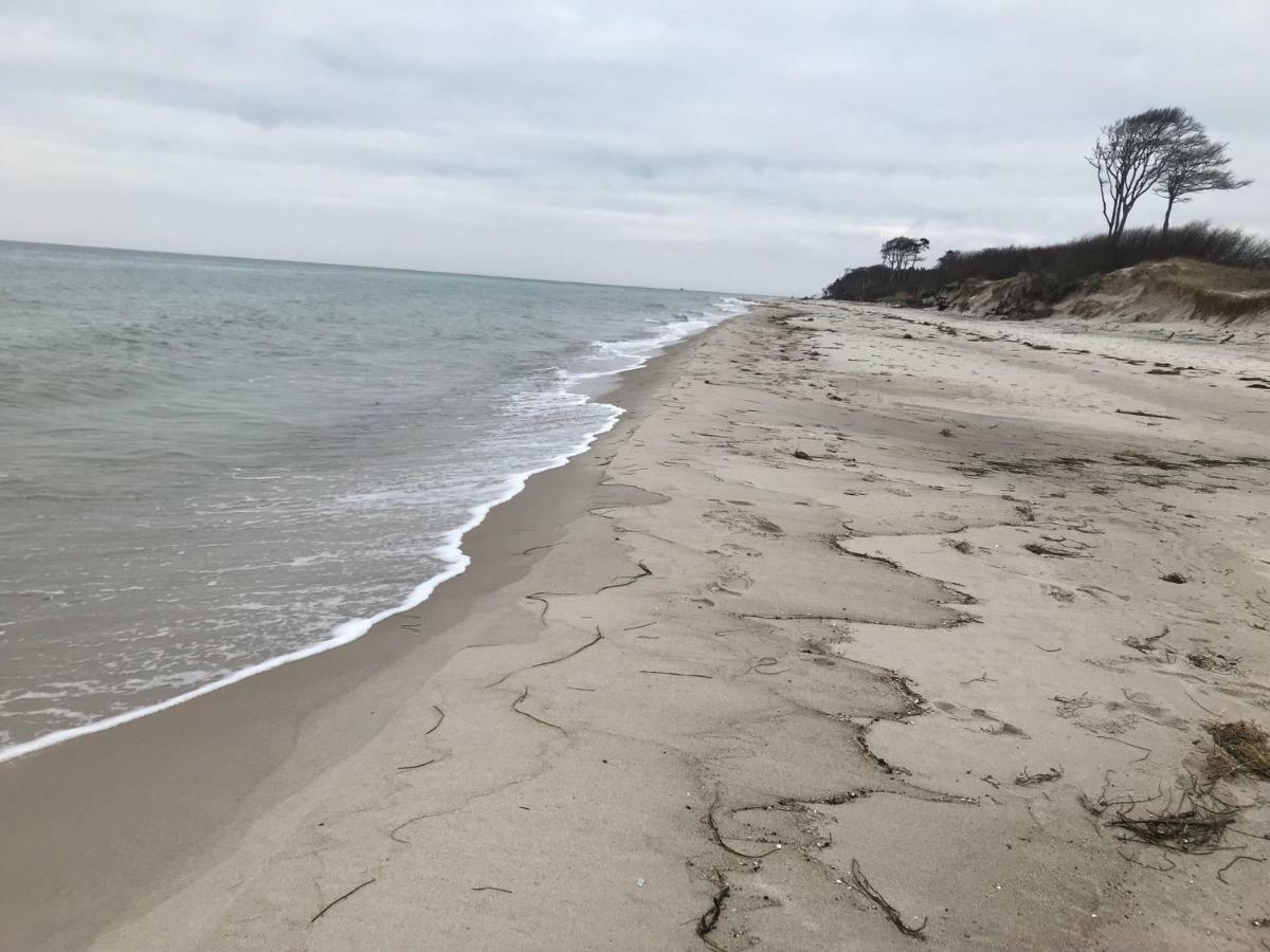 Zum Nordstrand Prerow Ngoại thất bức ảnh